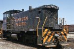 WP 1503 at Oakland